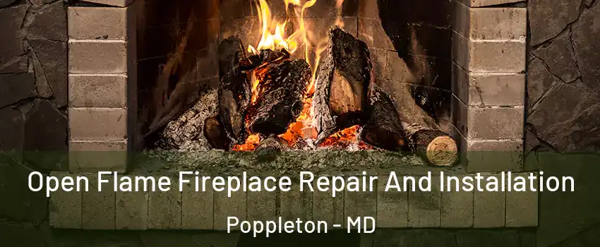 Open Flame Fireplace Repair And Installation Poppleton - MD