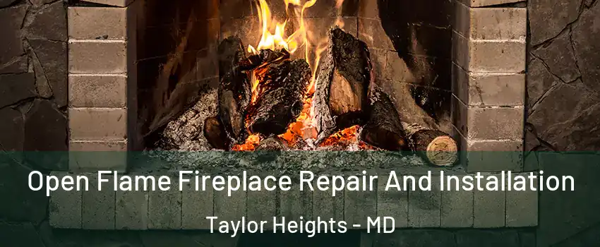 Open Flame Fireplace Repair And Installation Taylor Heights - MD