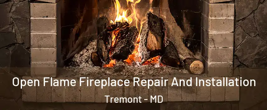 Open Flame Fireplace Repair And Installation Tremont - MD