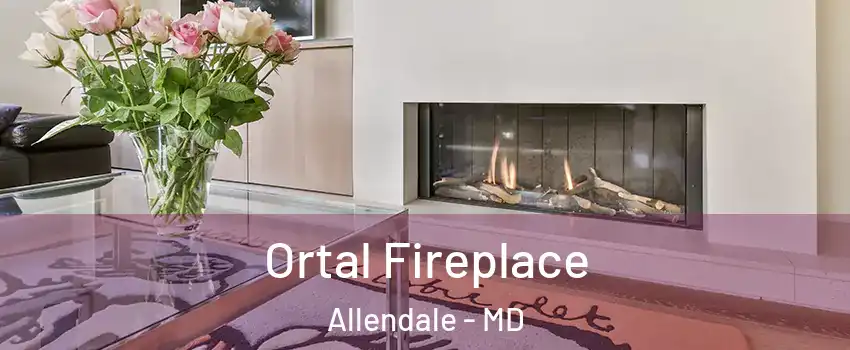 Ortal Fireplace Allendale - MD
