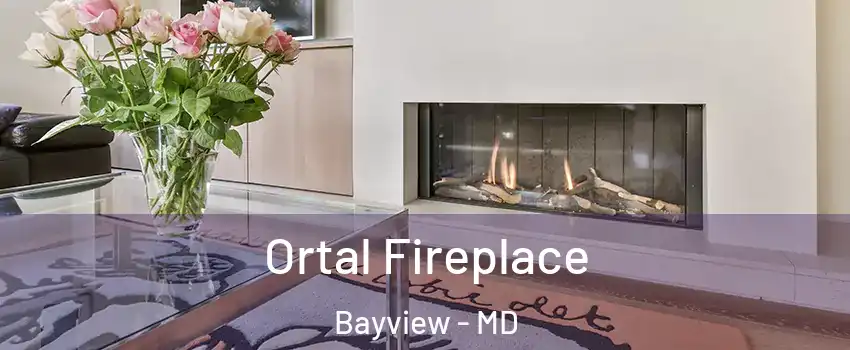 Ortal Fireplace Bayview - MD