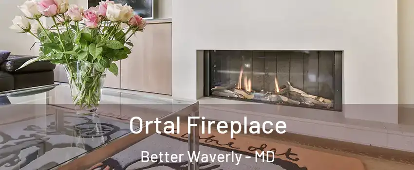 Ortal Fireplace Better Waverly - MD