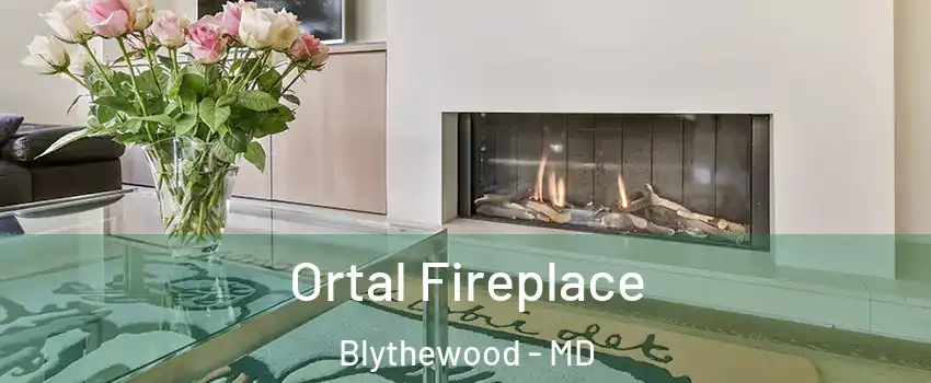 Ortal Fireplace Blythewood - MD