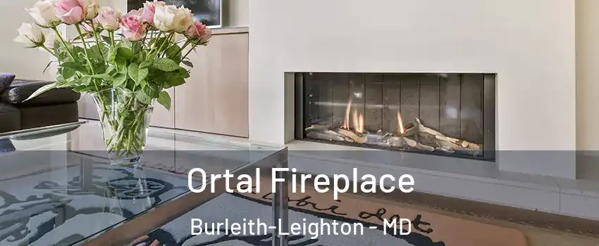 Ortal Fireplace Burleith-Leighton - MD