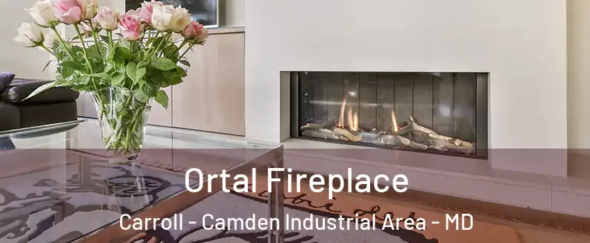 Ortal Fireplace Carroll - Camden Industrial Area - MD