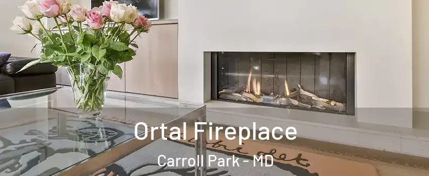 Ortal Fireplace Carroll Park - MD