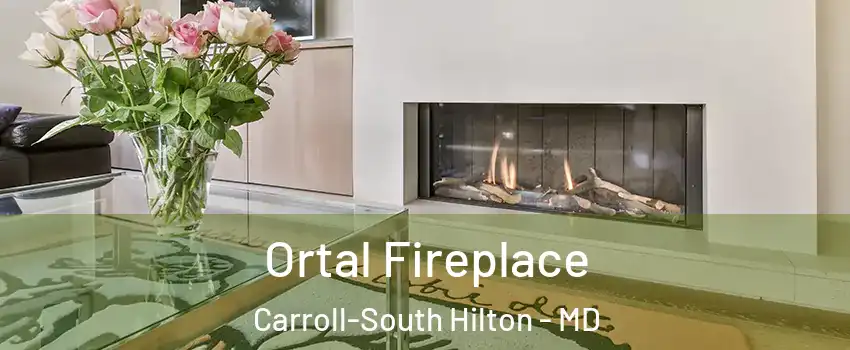 Ortal Fireplace Carroll-South Hilton - MD
