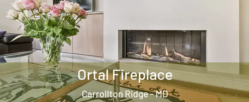 Ortal Fireplace Carrollton Ridge - MD