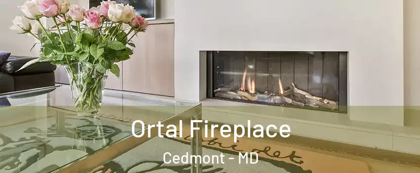 Ortal Fireplace Cedmont - MD