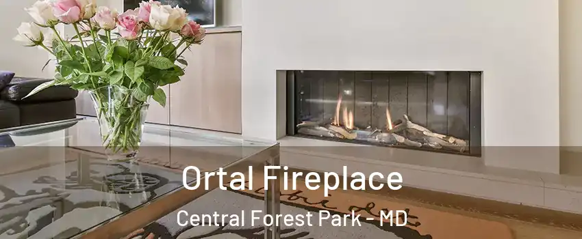 Ortal Fireplace Central Forest Park - MD