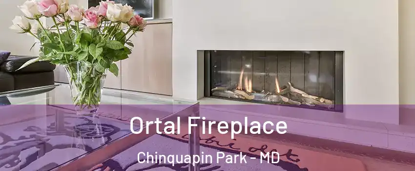 Ortal Fireplace Chinquapin Park - MD