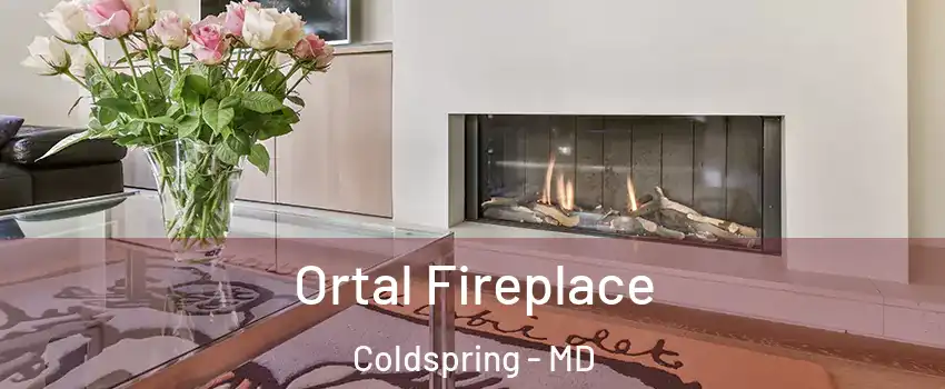 Ortal Fireplace Coldspring - MD