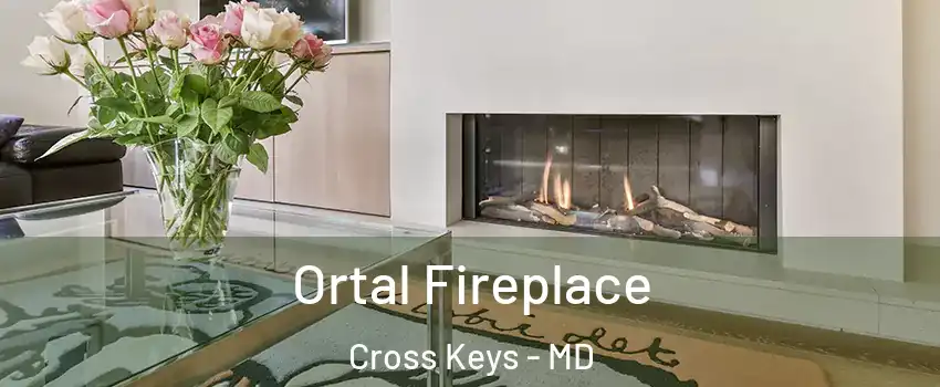 Ortal Fireplace Cross Keys - MD