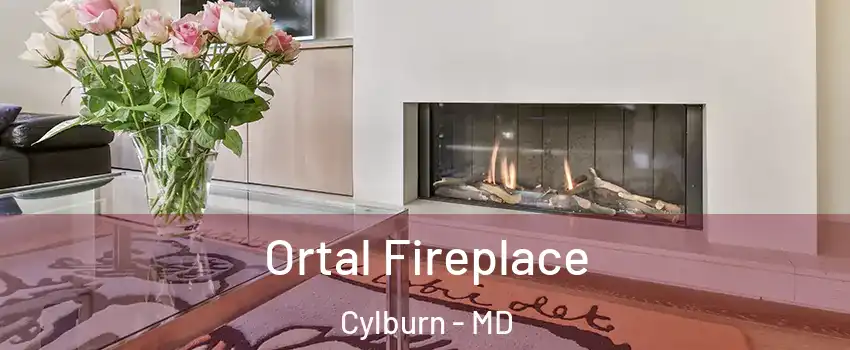 Ortal Fireplace Cylburn - MD