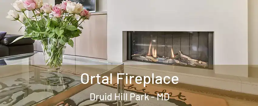 Ortal Fireplace Druid Hill Park - MD