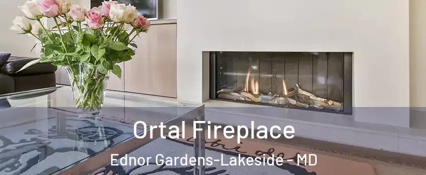 Ortal Fireplace Ednor Gardens-Lakeside - MD