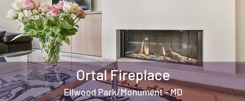 Ortal Fireplace Ellwood Park/Monument - MD