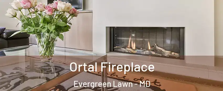 Ortal Fireplace Evergreen Lawn - MD