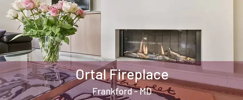 Ortal Fireplace Frankford - MD