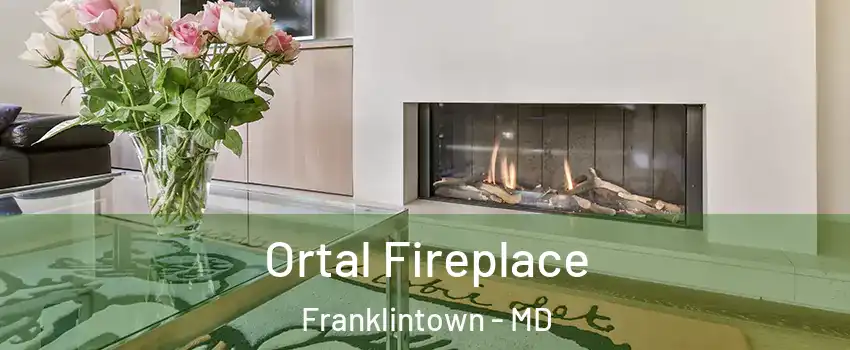 Ortal Fireplace Franklintown - MD