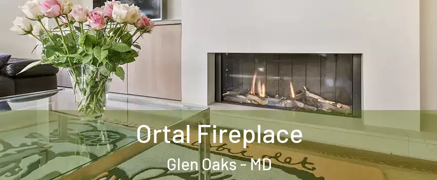 Ortal Fireplace Glen Oaks - MD