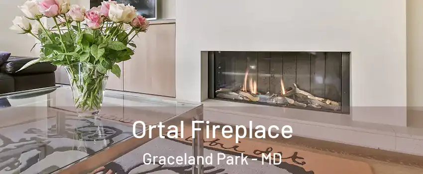 Ortal Fireplace Graceland Park - MD