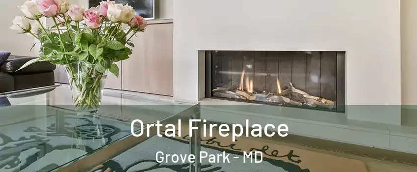 Ortal Fireplace Grove Park - MD