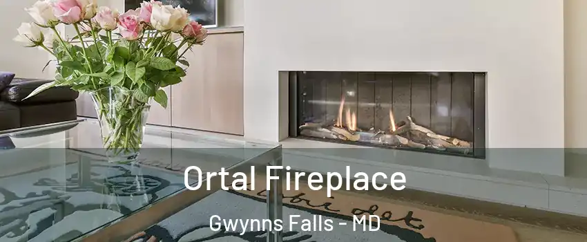 Ortal Fireplace Gwynns Falls - MD