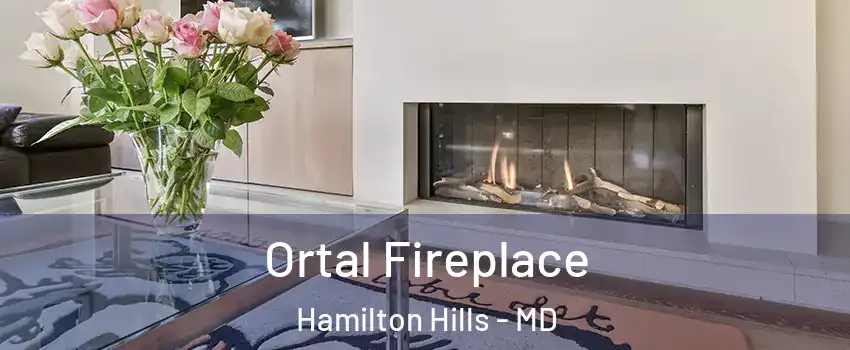 Ortal Fireplace Hamilton Hills - MD