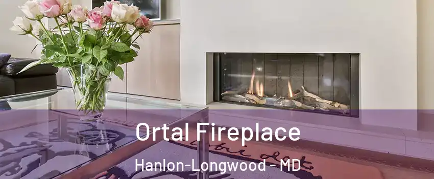 Ortal Fireplace Hanlon-Longwood - MD