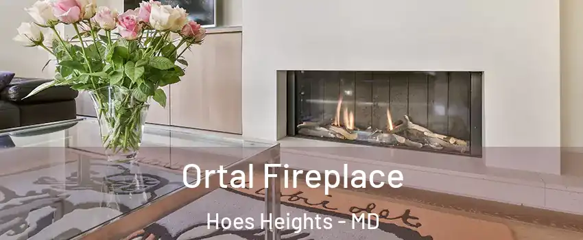 Ortal Fireplace Hoes Heights - MD