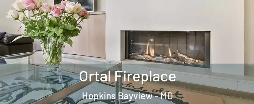 Ortal Fireplace Hopkins Bayview - MD