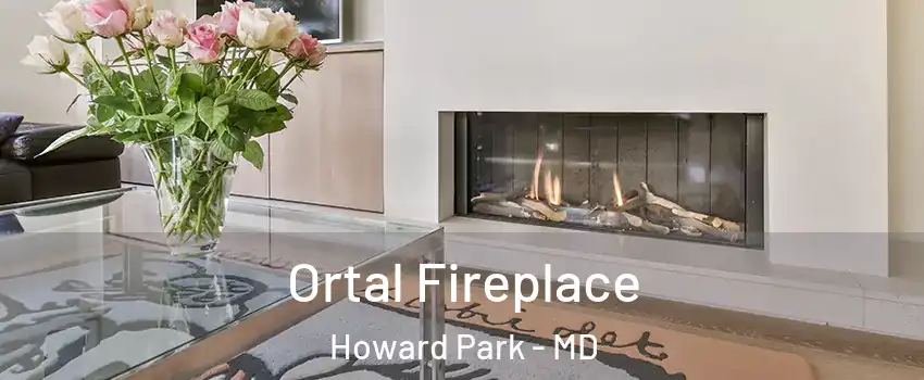 Ortal Fireplace Howard Park - MD