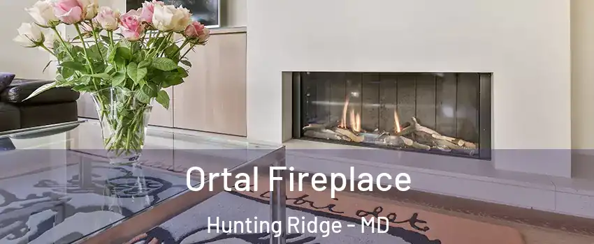 Ortal Fireplace Hunting Ridge - MD