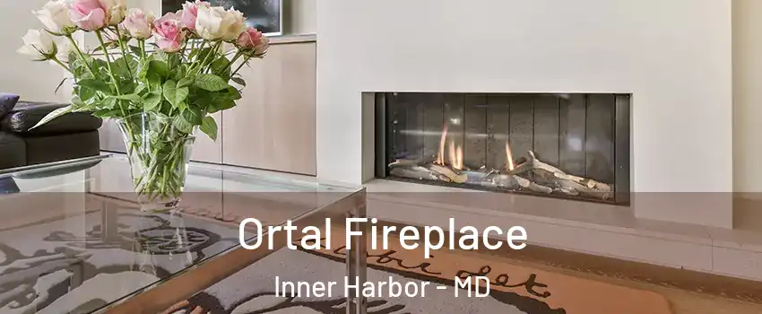 Ortal Fireplace Inner Harbor - MD