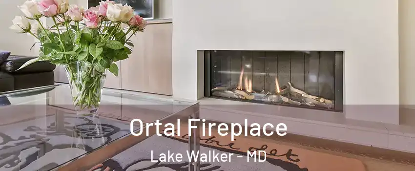 Ortal Fireplace Lake Walker - MD