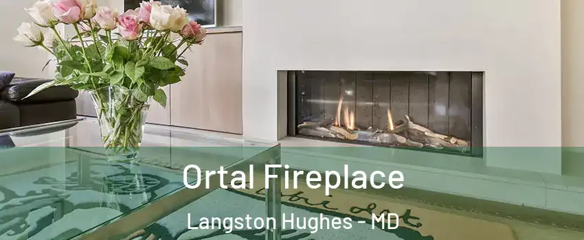Ortal Fireplace Langston Hughes - MD