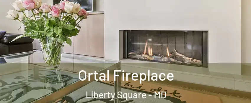 Ortal Fireplace Liberty Square - MD