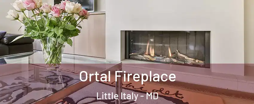 Ortal Fireplace Little Italy - MD