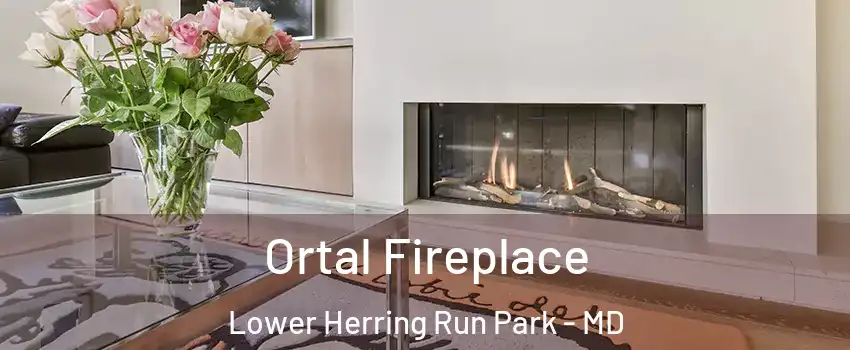 Ortal Fireplace Lower Herring Run Park - MD