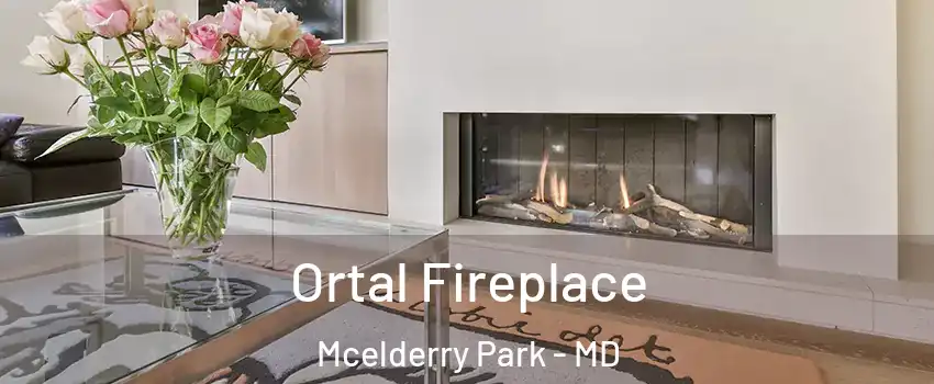 Ortal Fireplace Mcelderry Park - MD