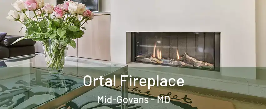 Ortal Fireplace Mid-Govans - MD