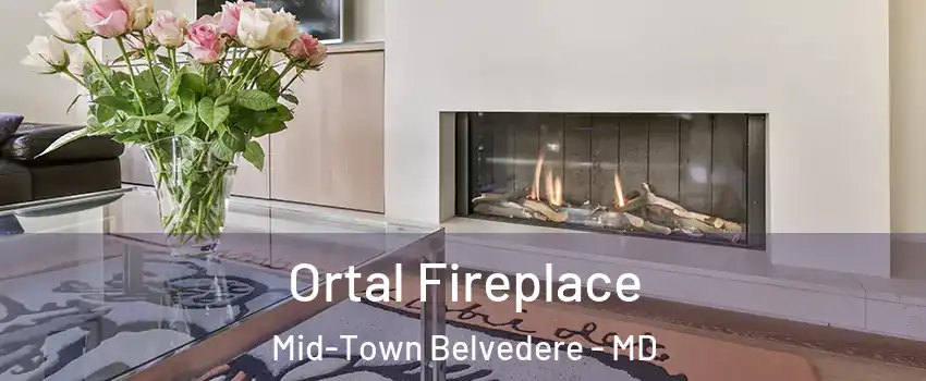 Ortal Fireplace Mid-Town Belvedere - MD