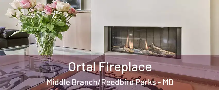 Ortal Fireplace Middle Branch/Reedbird Parks - MD