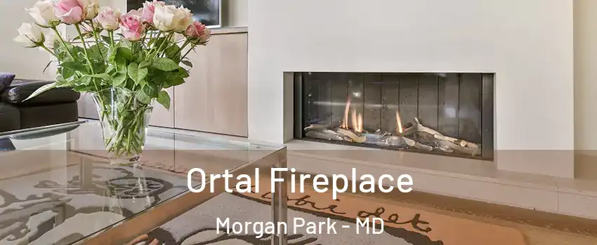 Ortal Fireplace Morgan Park - MD