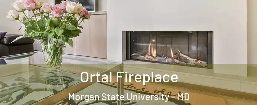 Ortal Fireplace Morgan State University - MD
