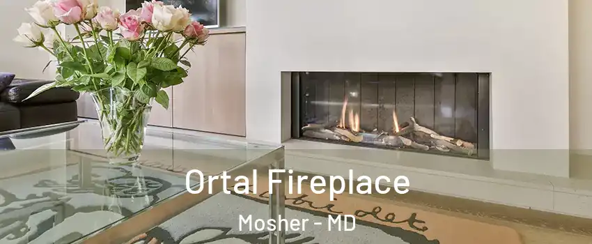 Ortal Fireplace Mosher - MD