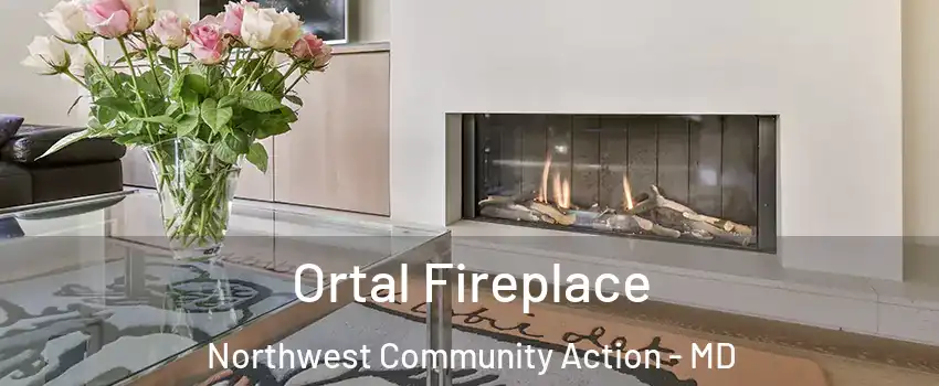 Ortal Fireplace Northwest Community Action - MD