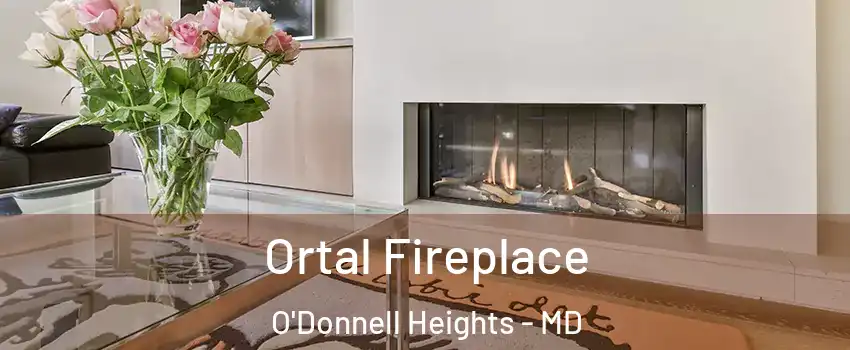 Ortal Fireplace O'Donnell Heights - MD