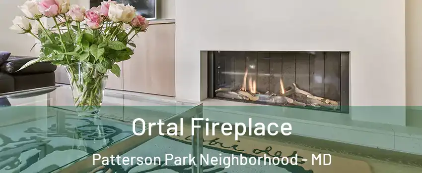 Ortal Fireplace Patterson Park Neighborhood - MD